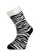 Katia&Bony Erkek Çocuk 3'lü Soket Çorap 12401K2014 SRI