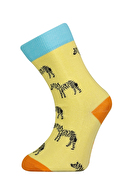 Katia&Bony Erkek Çocuk 3'lü Soket Çorap 12401K2014 SRI