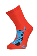 Katia&Bony Erkek Çocuk 4'lü Soket Çorap 12401K2020 KRMZ