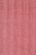 Sadem Organik Linden Havlu 30x50 cm