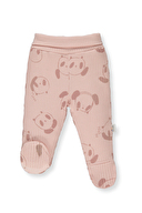 GÜL KURUSU GÜL KURUSU