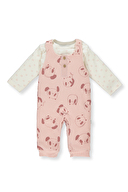 GÜL KURUSU GÜL KURUSU