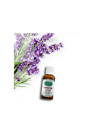 Alvin Lavanta Yağı 20 ml