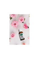 Alvin Gül Yağı 20 ml