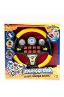 Didi Pilli Eğitici Direksiyon