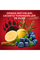 Old Spice Stick Bearglove 50 ml