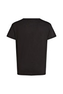 Tommy Jeans Erkek Tişört DM0DM20740