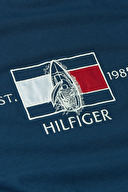 Tommy Hilfiger Erkek Tişört MW0MW38628