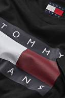 Tommy Jeans Kadın Tişört DW0DW22562