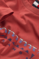 Tommy Jeans Erkek Tişört DM0DM22333