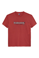 Tommy Jeans Erkek Tişört DM0DM22719