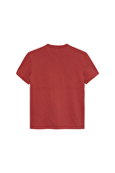 Tommy Jeans Erkek Tişört DM0DM22719