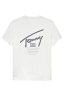 Tommy Jeans Erkek Tişört DM0DM22320