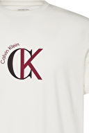 Calvin Klein Jeans Erkek Tişört LV14RE829G