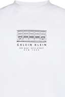 Calvin Klein Jeans Erkek Tişört LV04RF823G