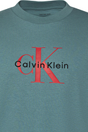 Calvin Klein Jeans Erkek Tişört LV04RB862G