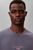 Calvin Klein Jeans Erkek Tişört LV04RC851G