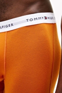 Tommy Hilfiger Erkek 3'lü Boxer UM0UM038890YZ