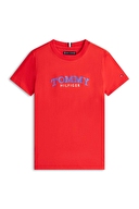 Tommy Hilfiger Erkek Çocuk Tişört KB0KB10263