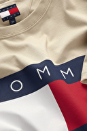 Tommy Jeans Erkek Tişört DM0DM22645