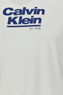 Calvin Klein Jeans Erkek Tişört LV14RF803G