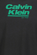 Calvin Klein Jeans Erkek Tişört LV14RF803G