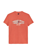 Tommy Jeans Erkek Tişört DM0DM22520