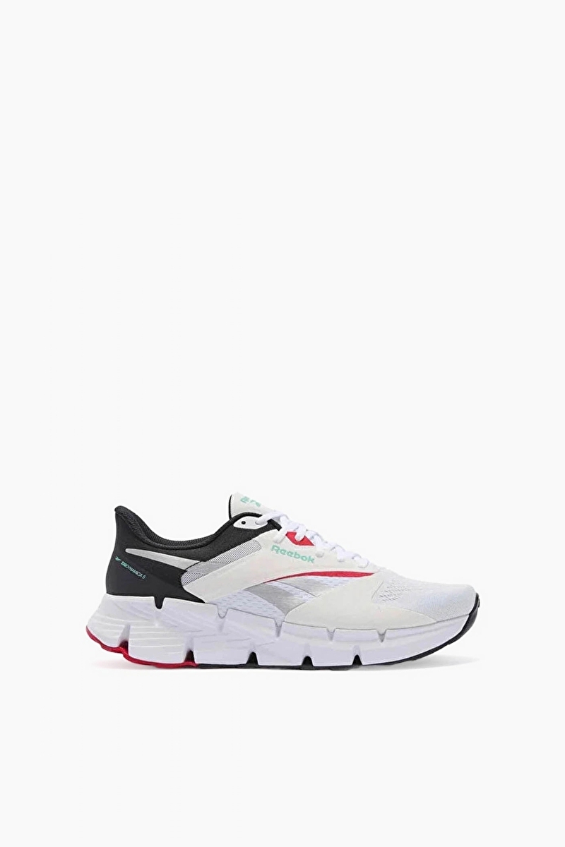 Reebok Zig Dynamica 5 Erkek Ayakkabı 100210036