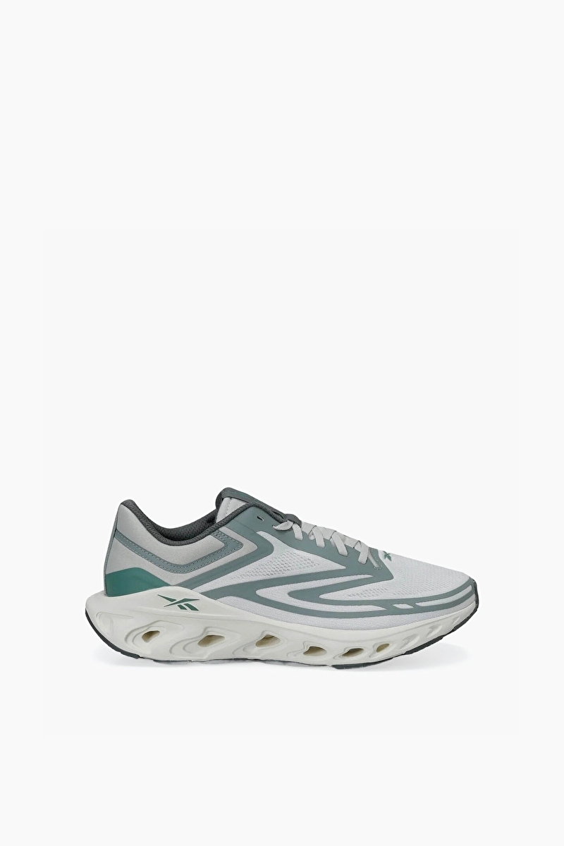 Reebok Fuel Flex Run Ayakkabı 100244526
