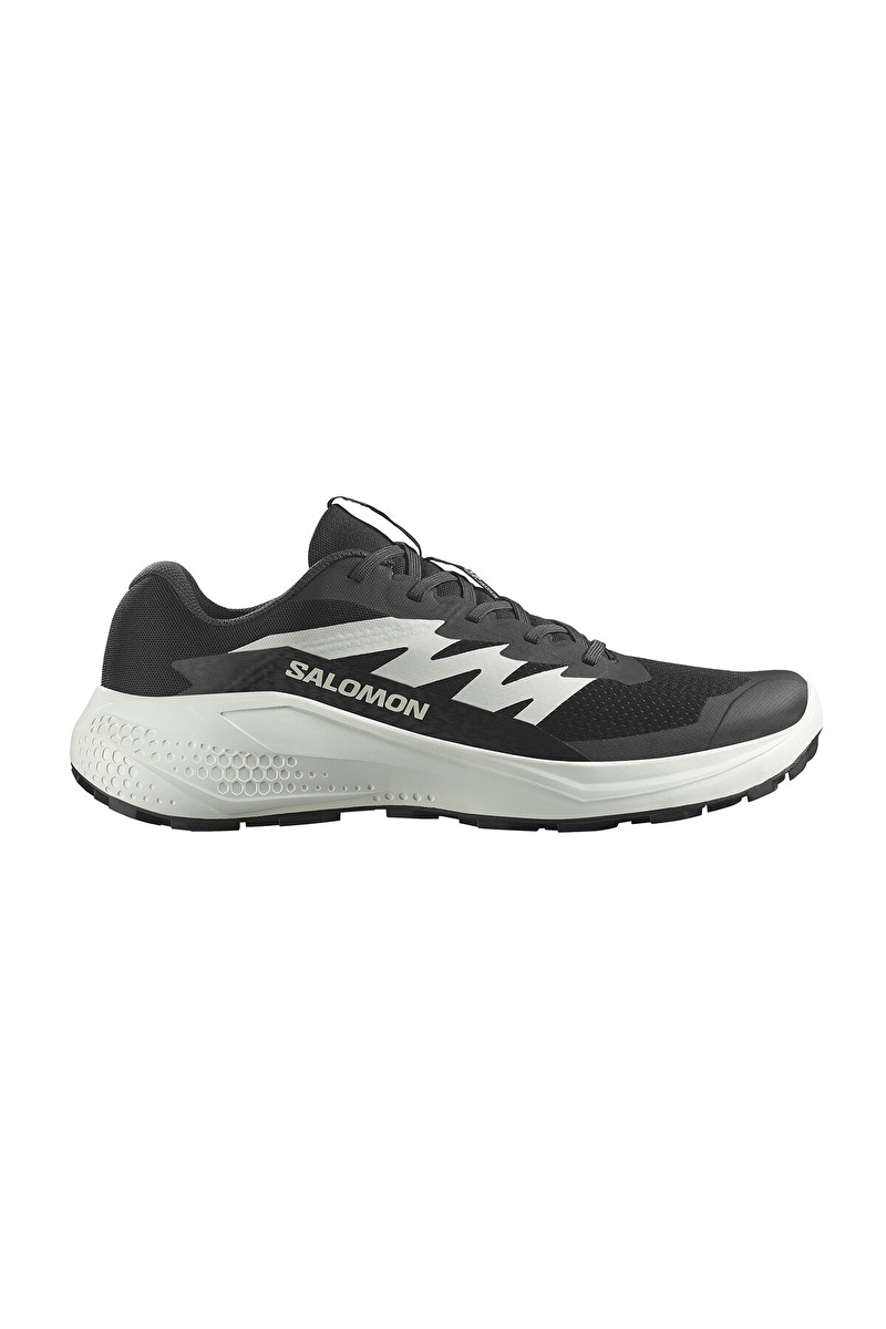 Salomon Alphaglide Erkek Ayakkabı L47801000 5895