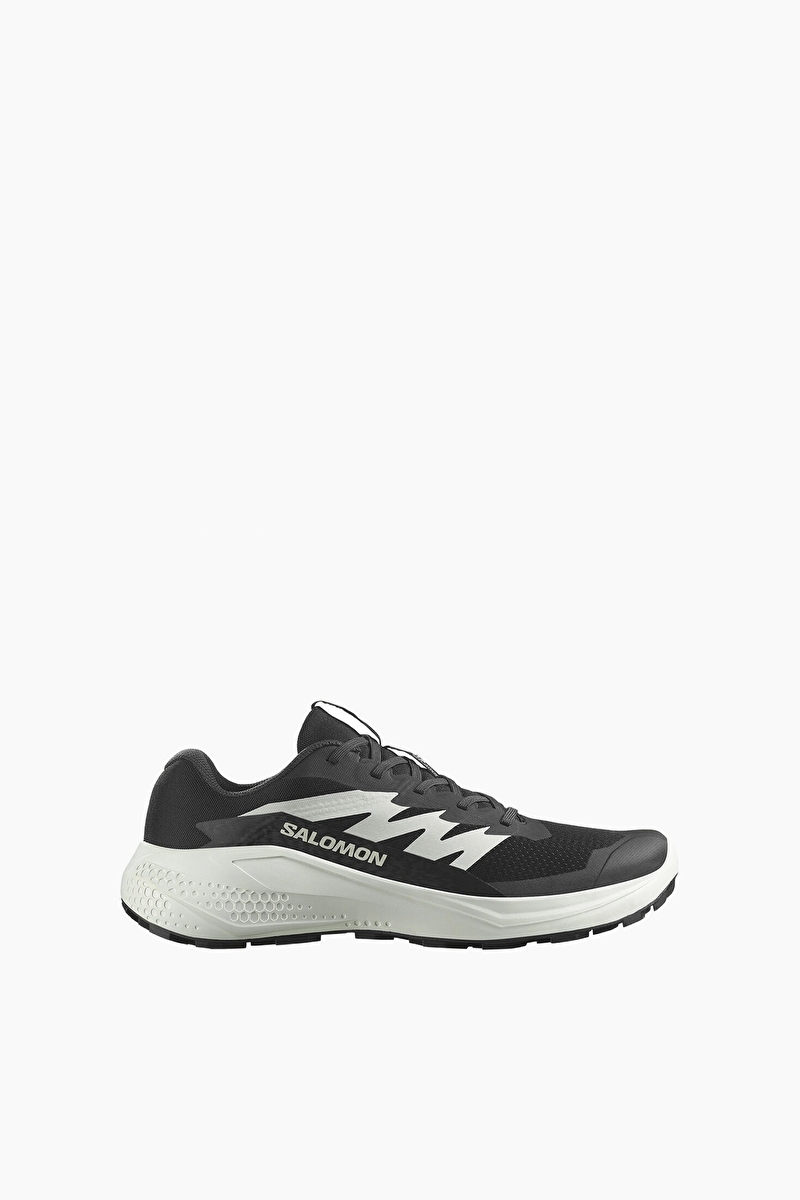 Salomon Alphaglide Erkek Ayakkabı L47801000 5895