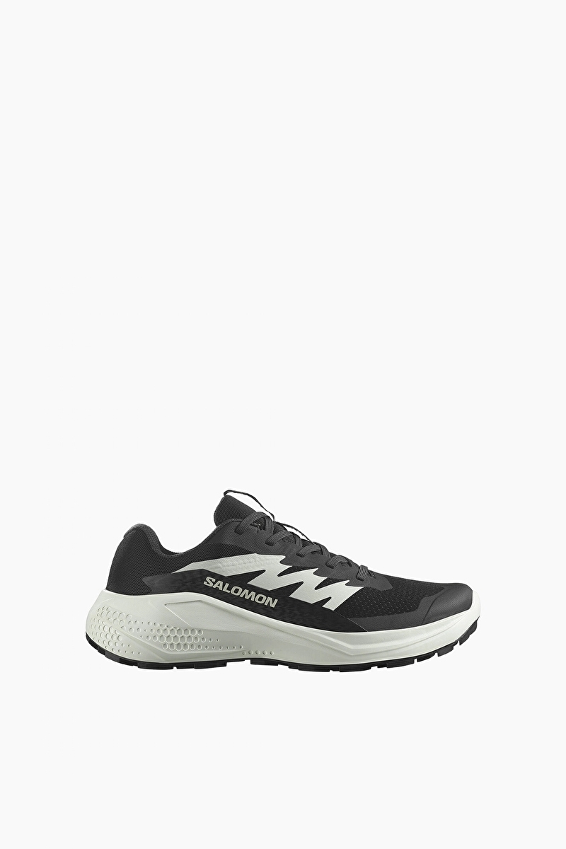 Salomon Alphaglide Ayakkabı L47801500 5893