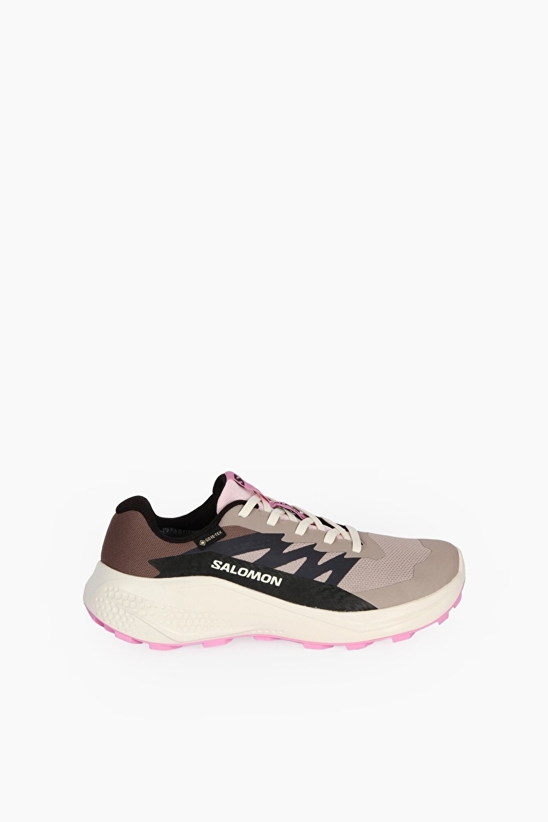 Salomon Alphaglide Gore-Tex Kadın Ayakkabı L47857900 8410