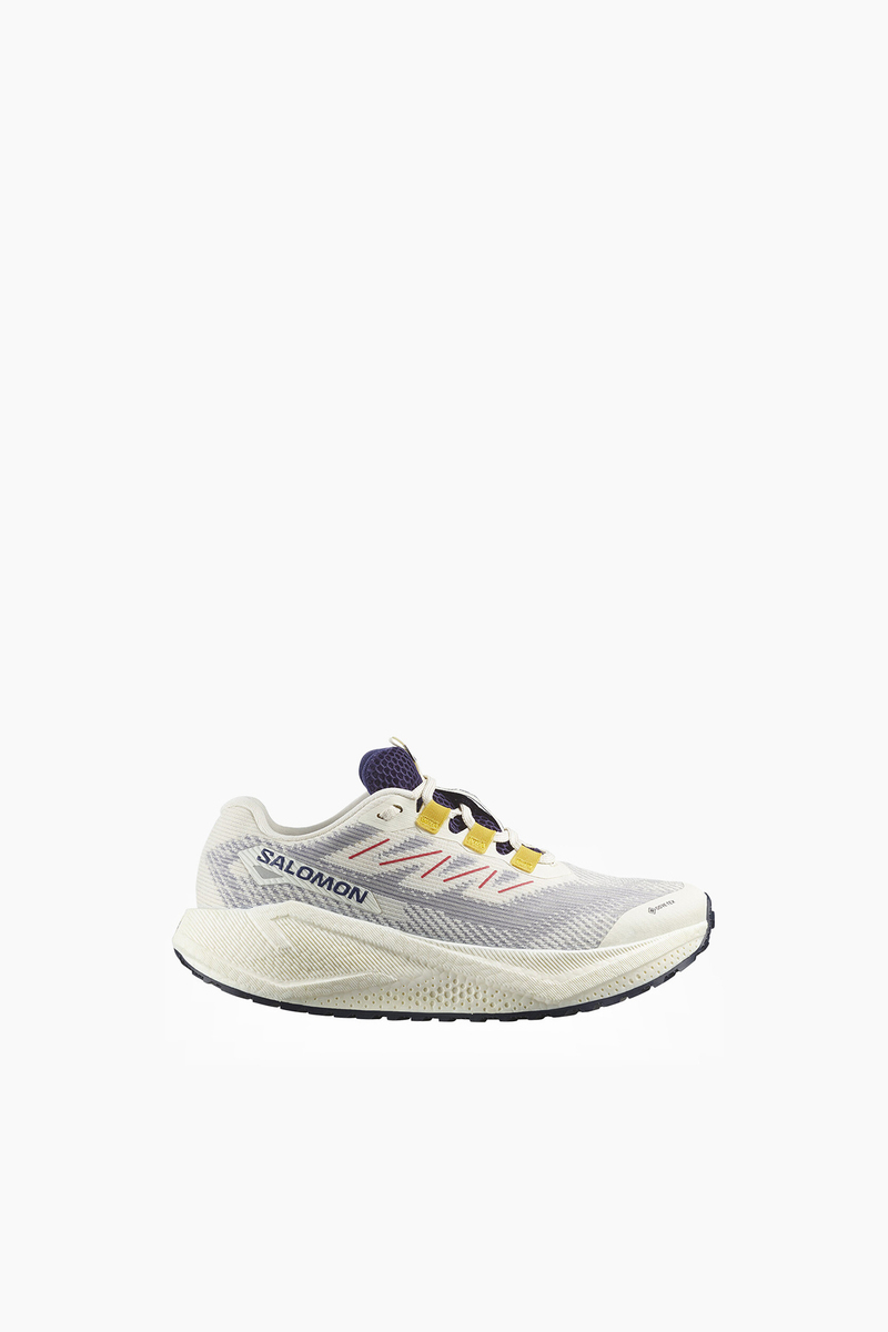 Salomon Aero Blaze 3 Grvl Kadın Ayakkabı L47974100 8431