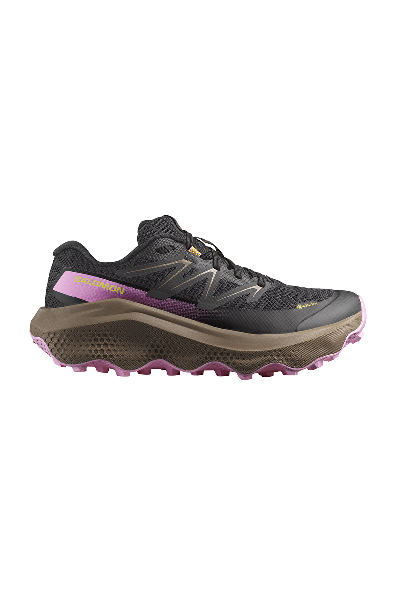 Salomon Ultra Flow 2 Gore-Tex Kadın Ayakkabı L47884400 4036