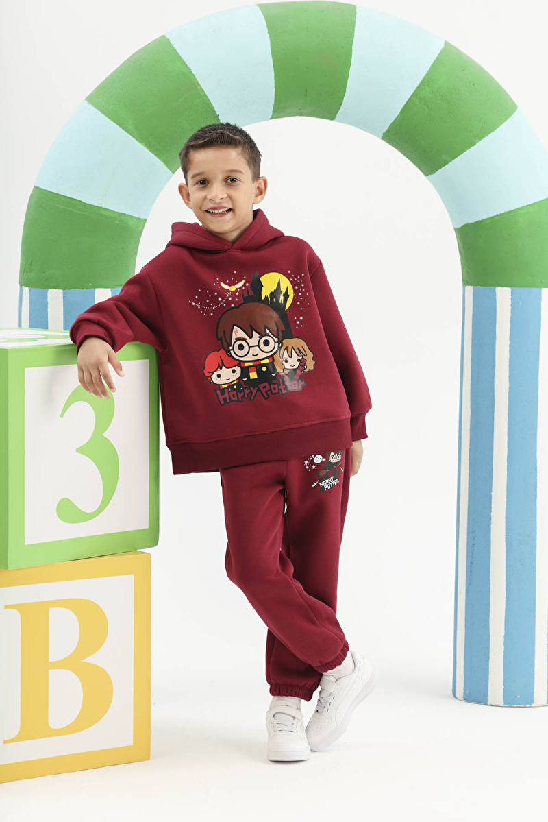Harry Potter © Warner Bros Funfair Kız Çocuk Sweatshirt 262OZHP-1005 Bordo