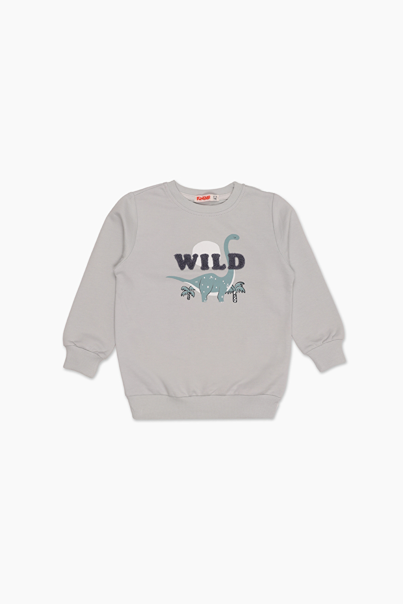 Funfair Erkek Çocuk Sweat 2626207005 Gri