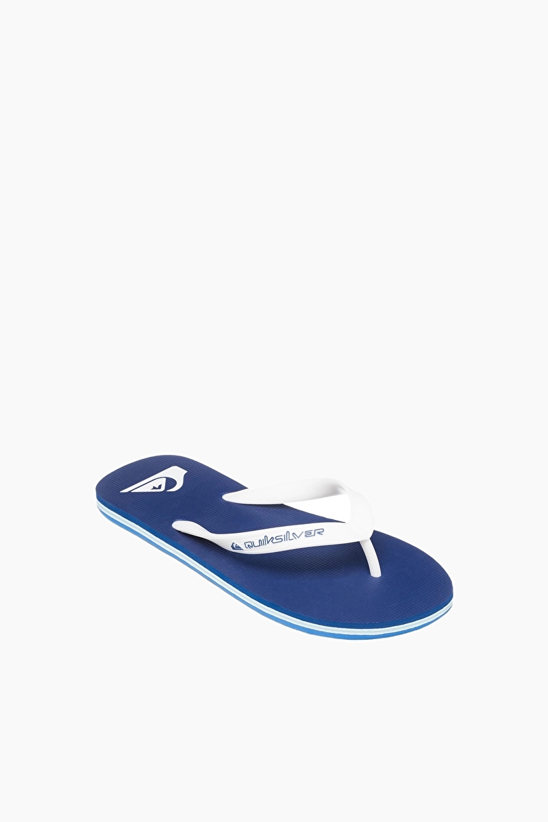 Quiksilver Molokai Core Erkek Terlik AQYL101325