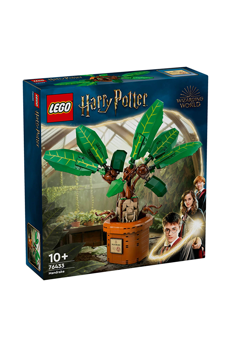 76433 LEGO® Harry Potter™ Adamotu
