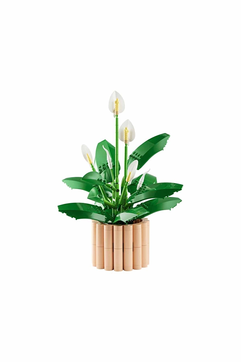 Lego Botanicals Barış Çiçeği 11504