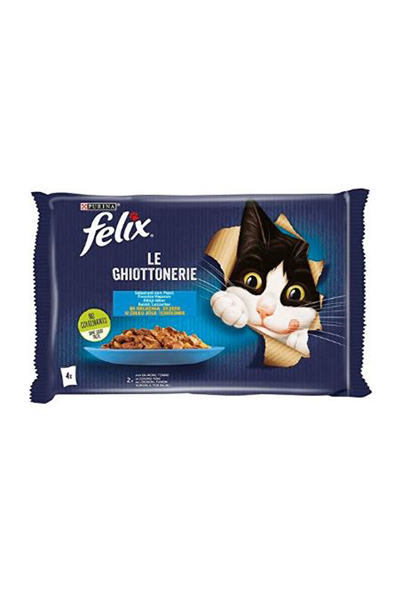 Felix Pouch Somonlu 4X85G