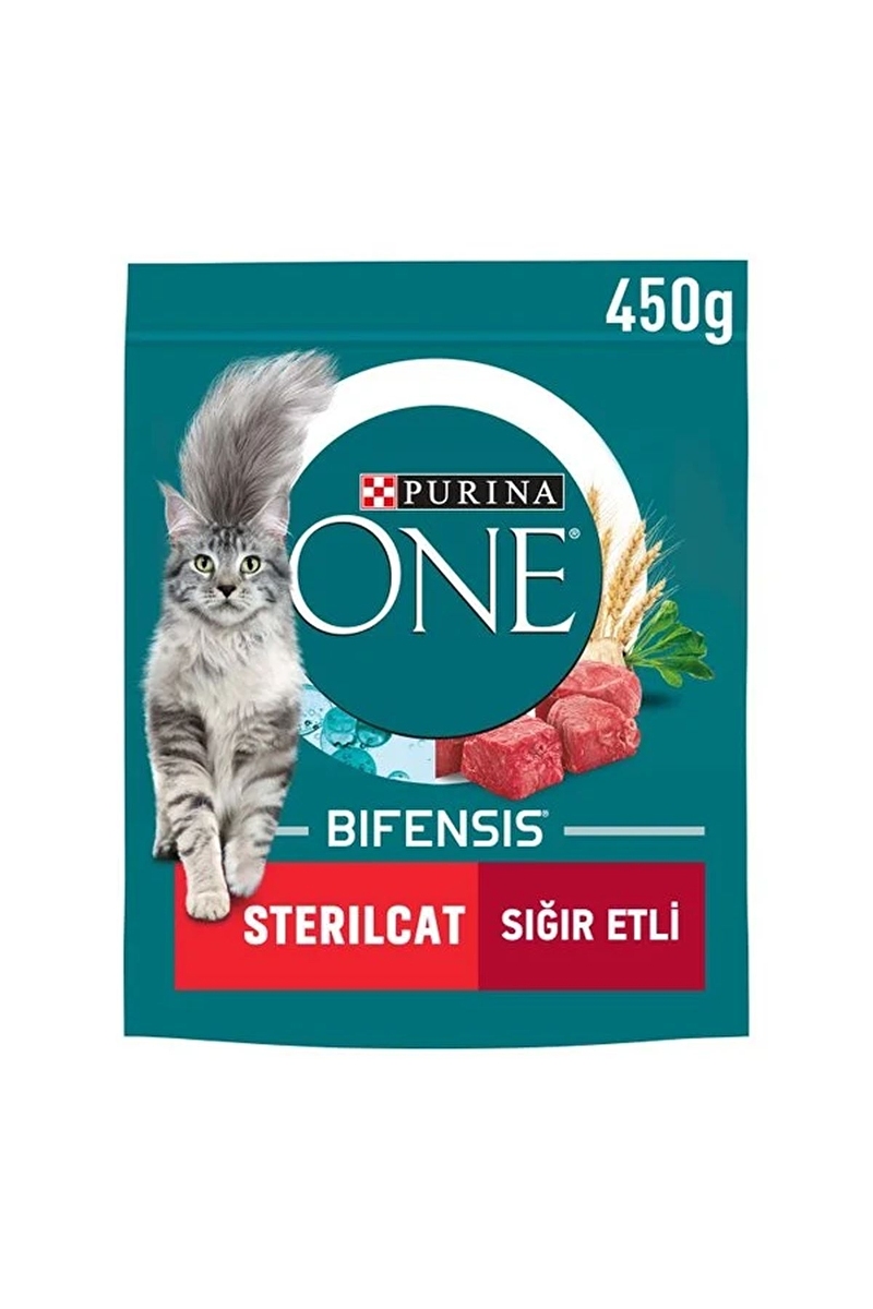 Purina One Streil Cat Sığır Etli Kedi Maması 450g