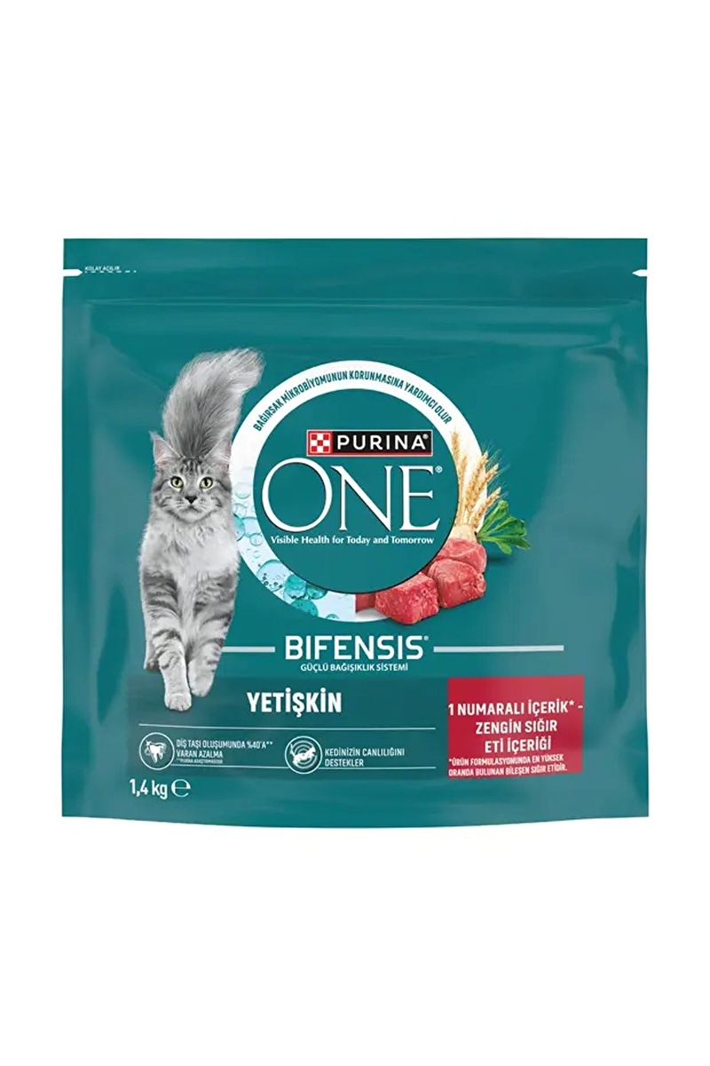 ONE ADULT Cat Beef&WholeGrain 6x1.4kg TR