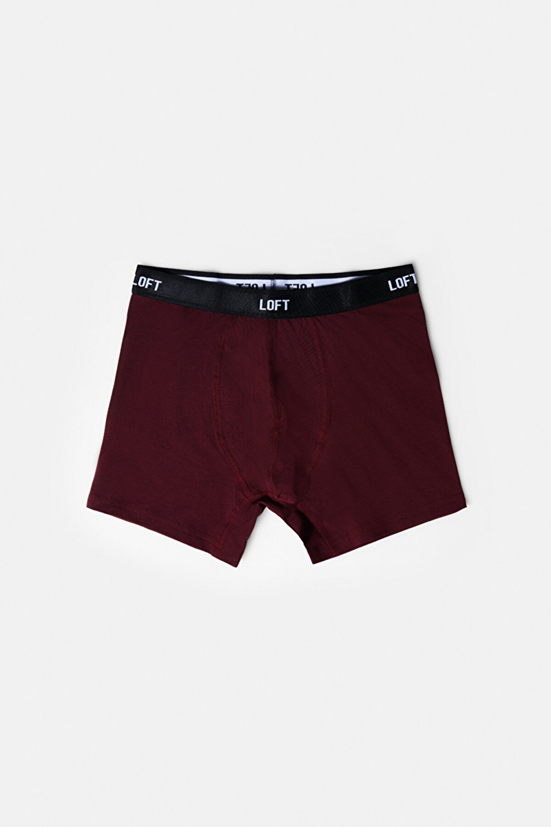 Loft Erkek Boxer LF2038182.BRD