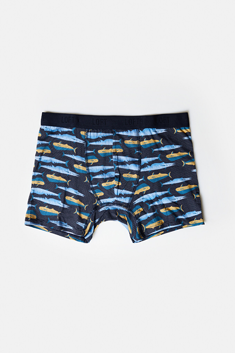 Loft Erkek Boxer LF2039878.RNK