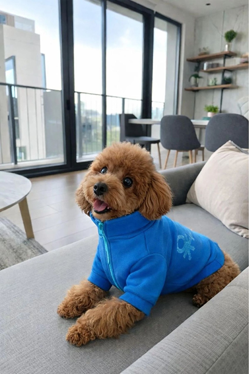 United Colors of Benetton Kedi & Köpek Kıyafeti Fermuarlı Ceket Mavi - XL