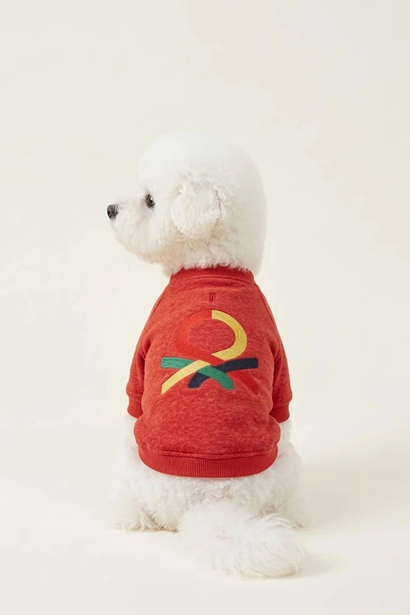 United Colors of Benetton Pet Sweatshirt Kırmızı M