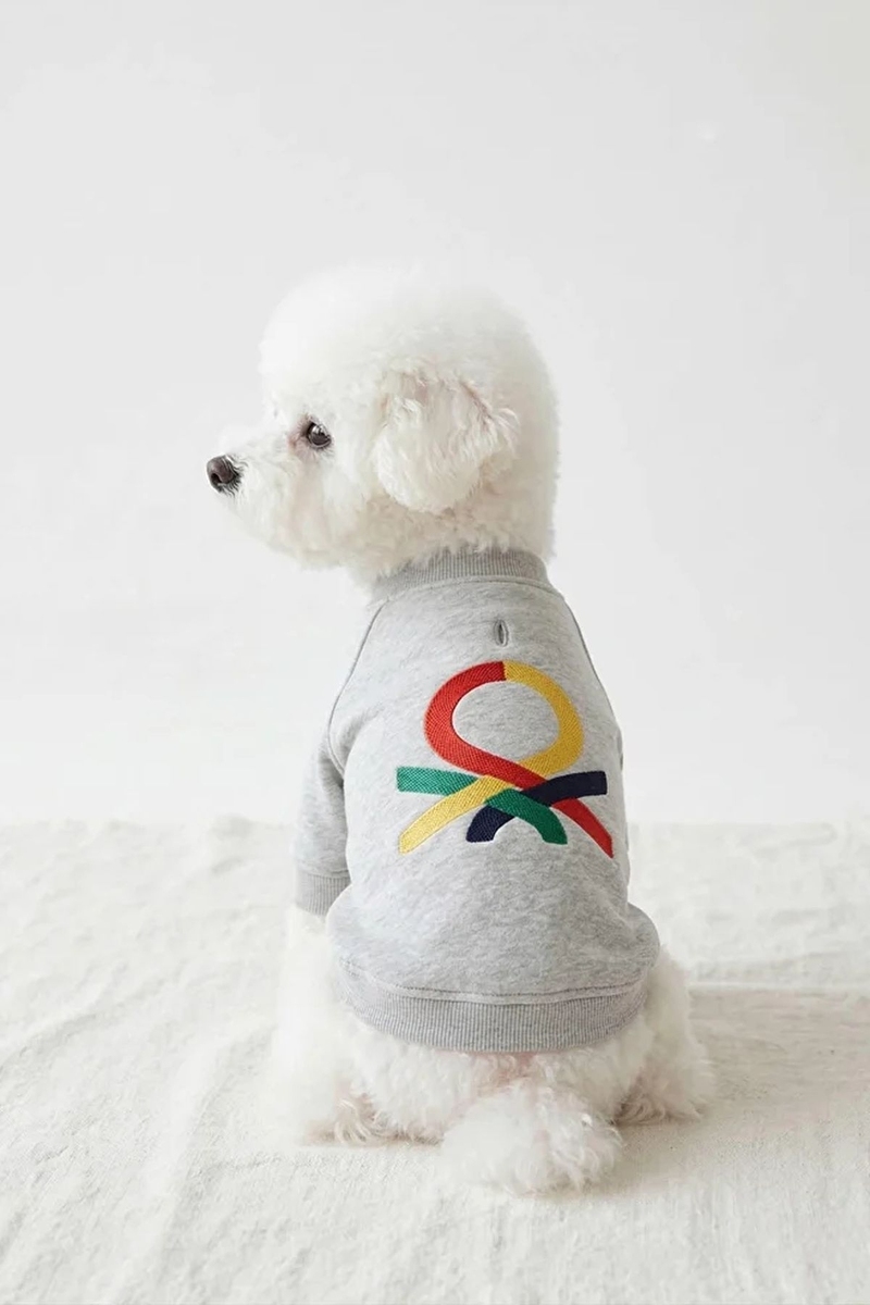 United Colors of Benetton Pet Sweatshirt Gri S