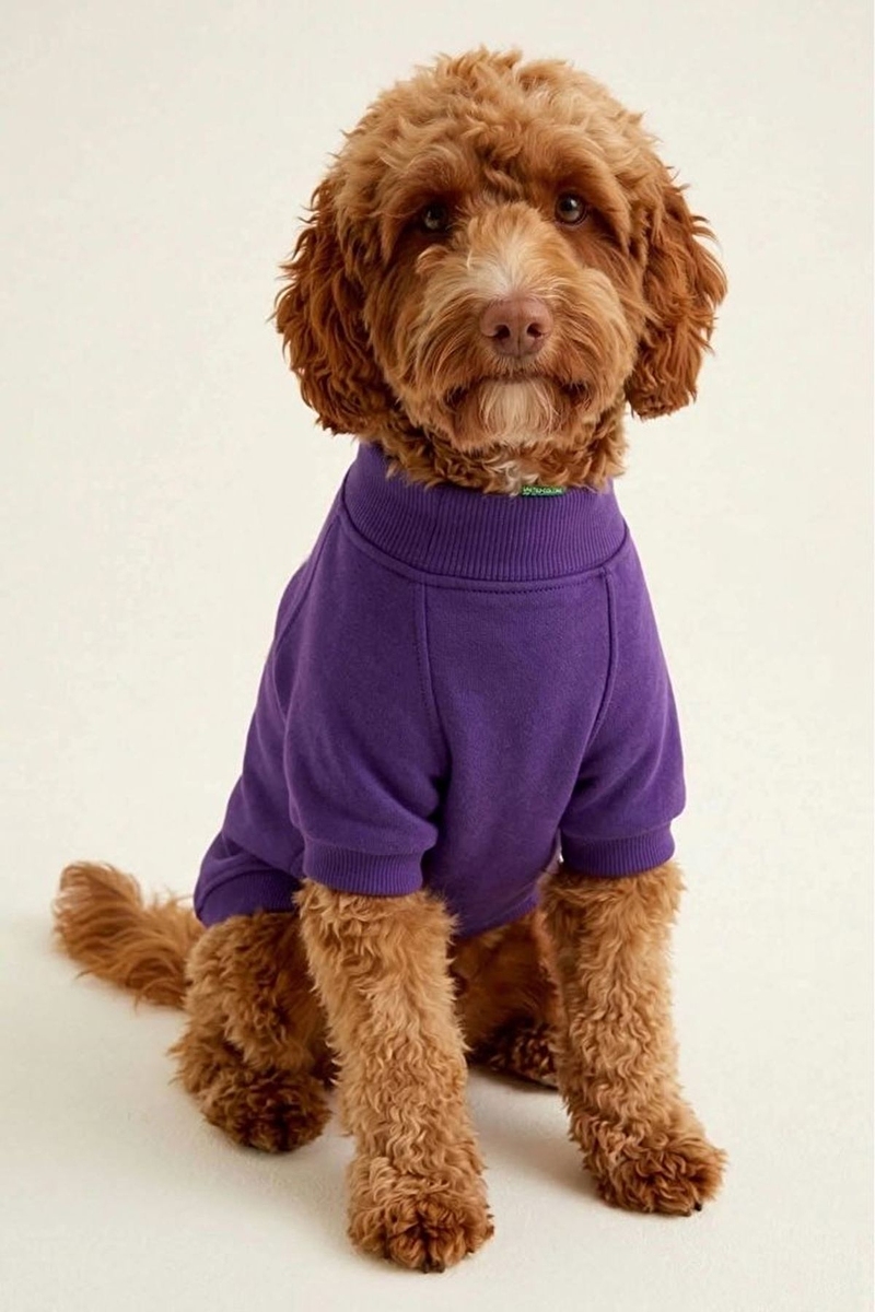 United Colors Of Benetton Kedi & Köpek Kıyafeti Sweatshirt Sarı - L