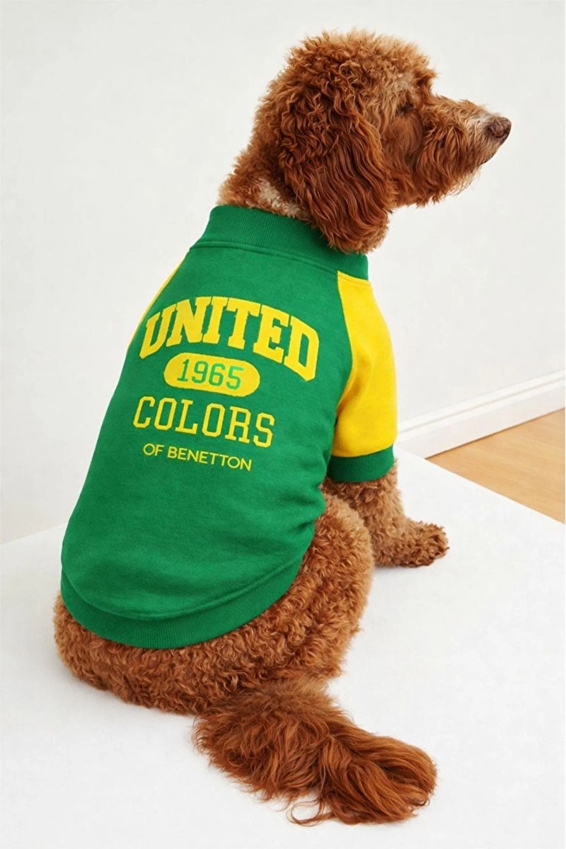 United Colors Of Benetton Kedi & Köpek Kıyafeti Sweatshirt Sarı Yeşil - S